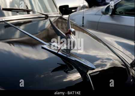 Amerikanische Oldtimer werden über Havanna, vorwiegend als lokales Taxi gefunden. Stockfoto