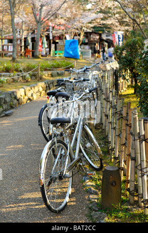 Kirschblüten-Festival im Maruyama Park, Kyoto, JP Stockfoto