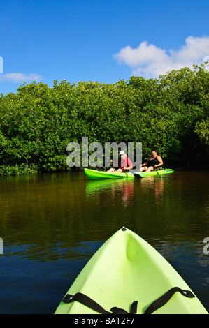 See-Kajak der Mangroven in Lac Bay Bonaire Stockfoto