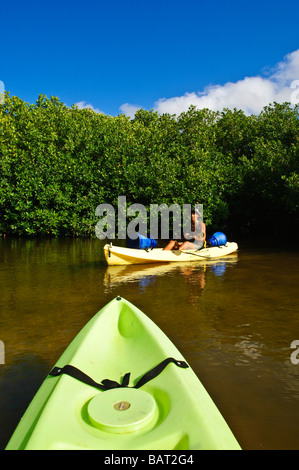 See-Kajak der Mangroven in Lac Bay Bonaire Stockfoto