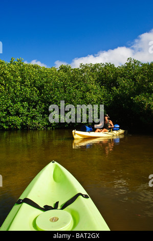 See-Kajak der Mangroven in Lac Bay Bonaire Stockfoto