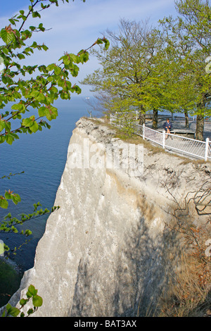 Kreidefelsen Koenigsstuhl (Königs Stuhl), Jasmund Nationalpark, Insel Rügen, Mecklenburg Vorpommern, Norddeutschland Stockfoto