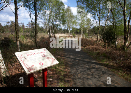 dem Moor Garten Torfland Bildungsraum an Mooren Land Park County Tyrone Nordirland Vereinigtes Königreich Stockfoto