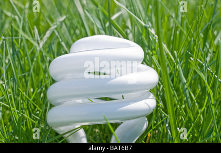 Kompakte Leuchtstoff Glühlampe in Rasen Stockfoto