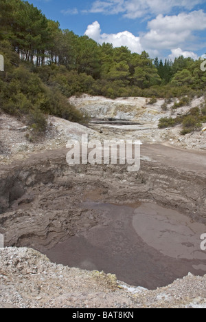 Wai-O-Tapu Thermal Wonderland in der Nähe von Rotorua, Neuseeland Stockfoto