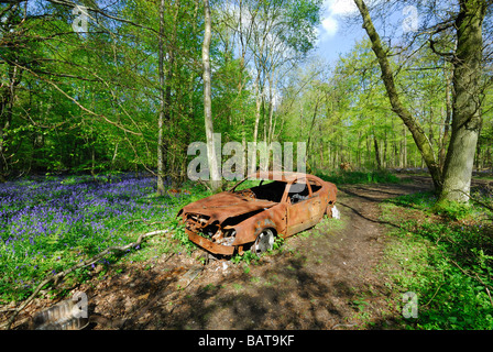 Ausgebrannte Auto im Wald Stockfoto