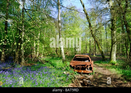 Ausgebrannte Auto im Wald Stockfoto