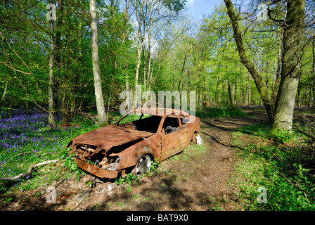 Ausgebrannte Auto im Wald Stockfoto