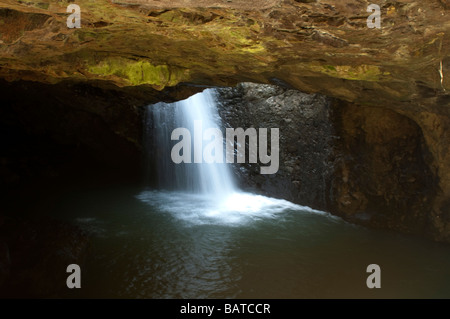 Wasserfall Natural Bridge Springbrook National Park-Queensland-Australien Stockfoto