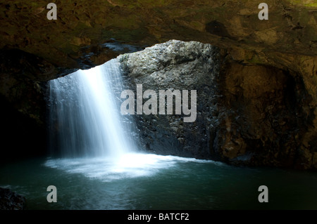 Wasserfall an der "Natural Bridge", Springbrook National Park, Queensland, Australia Stockfoto