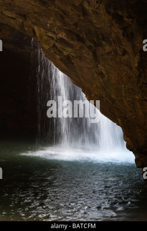 Wasserfall Natural Bridge Springbrook National Park-Queensland-Australien Stockfoto