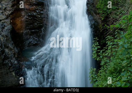 Wasserfall Natural Bridge Springbrook National Park-Queensland-Australien Stockfoto