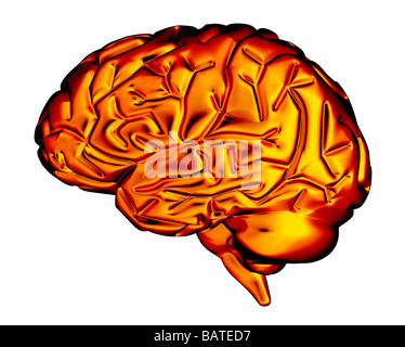 Menschliche Gehirn, Computer-Grafik. Die Vorderseite des Gehirns ist auf der linken Seite. Stockfoto