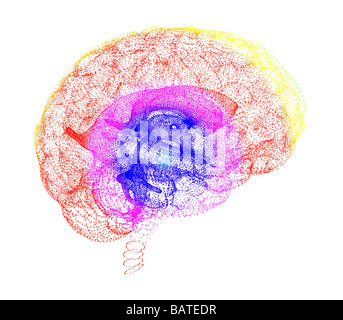 Menschliche Gehirn, konzeptionelle Computer Grafik. Die Vorderseite des Gehirns ist auf der rechten Seite. Stockfoto