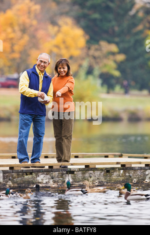 Hispanische paar füttern Enten im Teich Stockfoto