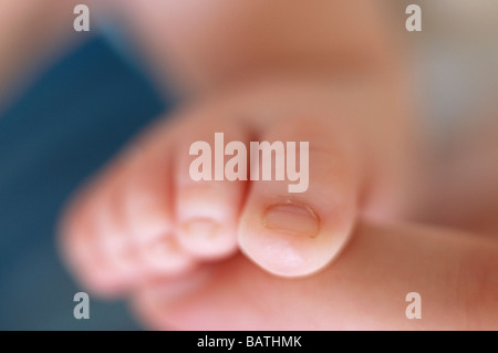 Reflex zu Klammern. Fuß eines 2 Monate alten Baby-jungen, der versucht, einen Daumen greifen. Stockfoto