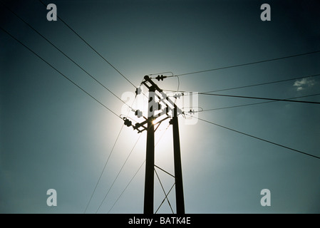 Hölzerne Pylon Powerlines zu unterstützen. Die Spannung in Powerlines unterstützt durch Holz übertragen. Stockfoto