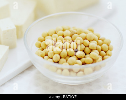 Sojabohnen (Glycine max) sind eines der besten Nahrungsquellen für Protein. Stockfoto