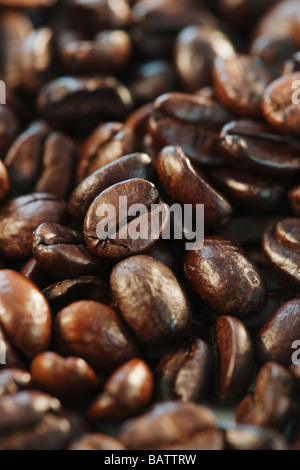 Rösten von Kaffeebohnen, Studio gedreht Stockfoto