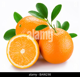 Orangen mit Blättern auf weißem Hintergrund Stockfoto