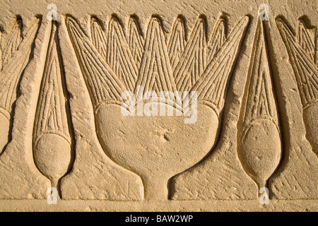 Geschnitzte Relief Grenze an Wänden in Dendera Tempel, Niltal, Ägypten, Nordafrika Stockfoto