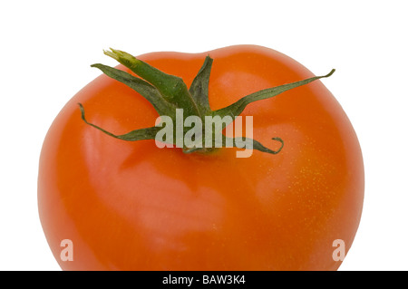 Eine rote reife Tomate Tomaten Stockfoto