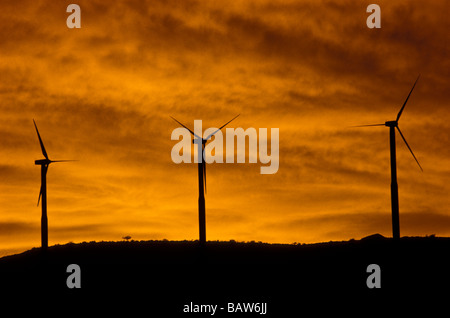 Windpark in Pecos County, Texas bei Sonnenuntergang. Stockfoto