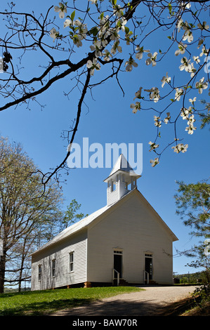 Cades Cove Evangelisch-methodistische Kirche, umrahmt von blühenden Hartriegels in der Great-Smoky-Mountains-Nationalpark-Tennessee Stockfoto