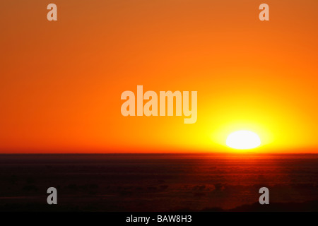 Sunrise, Etosha Nationalpark, Namibia Stockfoto