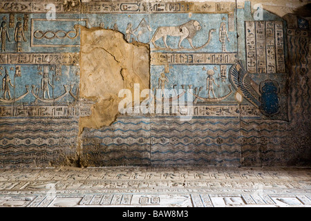 Neu gereinigt und restaurierten Decke im Vorraum in Dendera Tempel, Niltal, Ägypten, Nordafrika Stockfoto