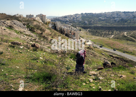 Ein arabischer Hirte Herden seine Herde zwischen das jüdische Viertel von Armon Hanatziv und das palästinensische Gebiet Sur Bahir, Jerusalem. Stockfoto