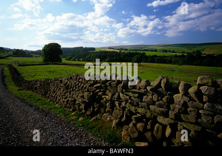 Teesdale Vista in der Nähe von Bowlees, Teesdale, County Durham, Großbritannien Stockfoto