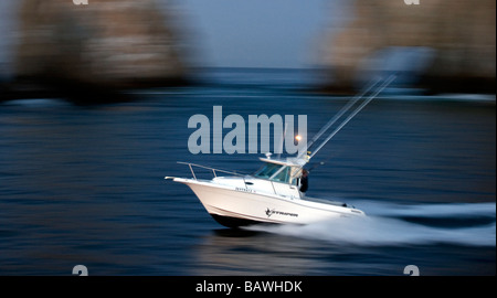 "Rasse für die Fische II" Stockfoto