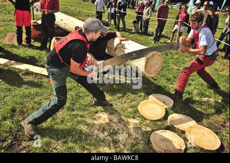 Logger mit einer zwei-Mann-Ablängsäge in eine Protokollierung Wettbewerb gegen die Uhr Sägen. Stockfoto