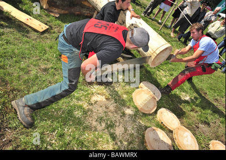 Logger mit einer zwei-Mann-Ablängsäge in eine Protokollierung Wettbewerb gegen die Uhr Sägen. Stockfoto