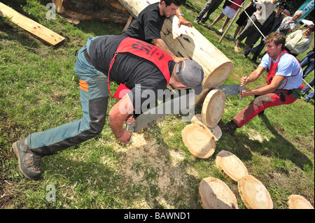 Logger mit einer zwei-Mann-Ablängsäge in eine Protokollierung Wettbewerb gegen die Uhr Sägen. Stockfoto