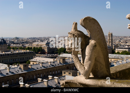 Wasserspeier an der Kathedrale Notre-Dame Paris Stockfoto