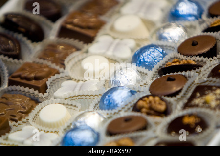 Edle belgische Pralinen und Trüffel auf Display - Brüssel, Belgien Stockfoto