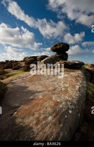 Brimham Rocks in der Nähe von Ripon North Yorkshire Teil des Bereichs Nidderdale von außergewöhnlicher natürlicher Schönheit Stockfoto