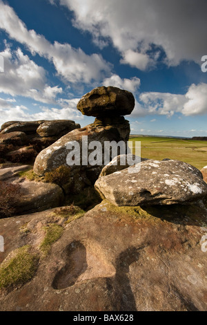 Brimham Rocks in der Nähe von Ripon North Yorkshire Teil des Bereichs Nidderdale von außergewöhnlicher natürlicher Schönheit Stockfoto