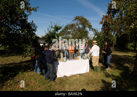 John Riddle betreibt einen öffentlichen Besuch eine Apfelplantage Apfelwein von Riddles Apfelwein Gloucestershire, England Stockfoto