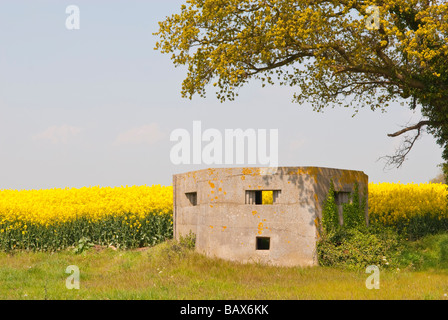 Einen zweiten Weltkrieg Bunker in der Landschaft von Suffolk in Hulver, Suffolk, Uk, im 2. Weltkrieg für Verteidigung, hergestellt aus Beton verwendet. Stockfoto