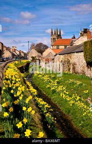 Narzissen Zeit Castlegate Helmsley North Yorkshire Stockfoto