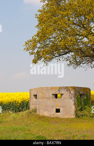 Einen zweiten Weltkrieg Bunker in der Landschaft von Suffolk in Hulver, Suffolk, Uk, im 2. Weltkrieg für Verteidigung, hergestellt aus Beton verwendet. Stockfoto