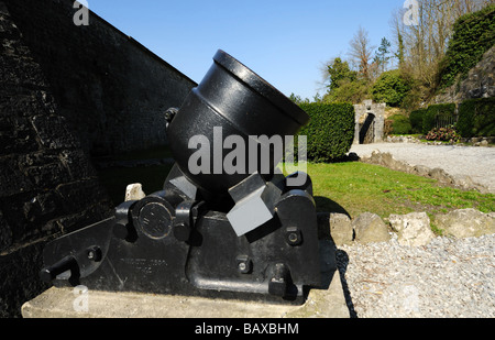 Kanonen auf der Burg über die Stiftskirche von Notre Dame Dinant Belgien Ardennen Stockfoto