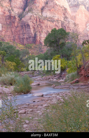 North Fork des Virgin River in der Nähe von Zion Lodge am Abend Zion Nationalpark Stockfoto