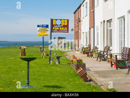 Schilder - Häuser zum Verkauf und zu lassen - auf Roa Island, in der Nähe von Furness, Cumbria, England UK Stockfoto