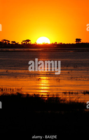 Sonnenuntergang auf dem Chobe Fluss, Botswana Stockfoto