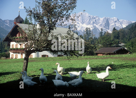 Landschaft in Berchtesgaden, Berchtesgadener Land, Upper Bavaria, Bayern, Deutschland Stockfoto