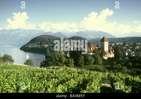 Spiez mit Schloss Spiez am Thunersee, Berner Oberland, Schweiz Stockfoto